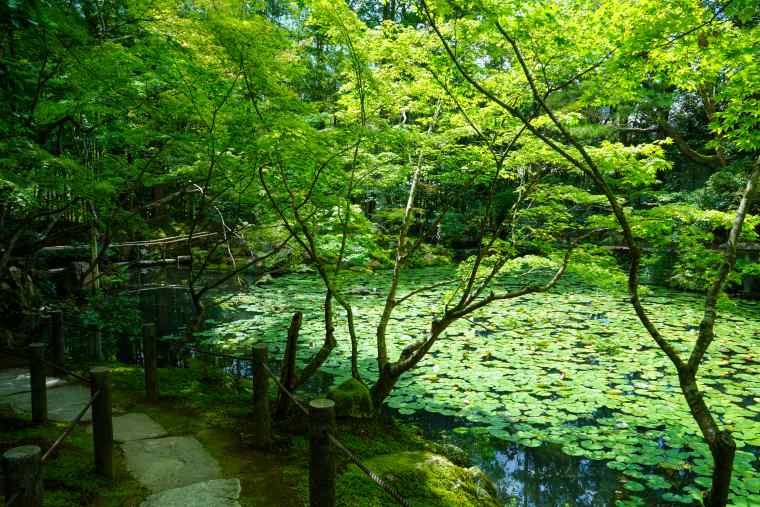 京都 南禅寺 天授庵