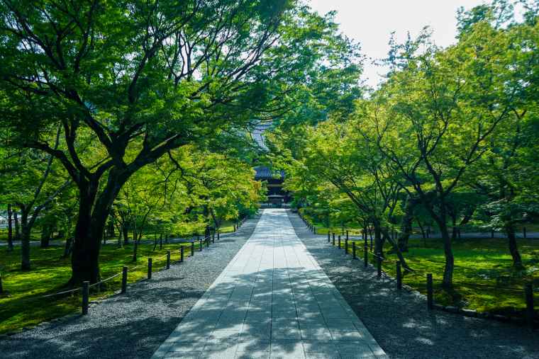 京都 南禅寺 法堂 紅葉スポット