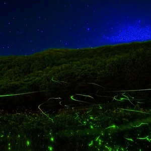 兵庫・家島を巡る星空ツアー