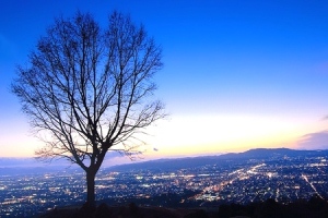 若草山からの夜景を堪能できるロマンチックツアー