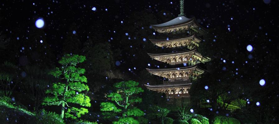 社長・クマちゃんが案内する、山口風遊ツアー
