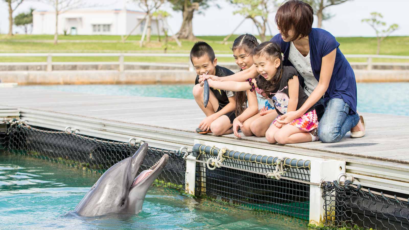 幼児もok 子どもが成長する 沖縄の自然感動体験6選 楽天トラベル