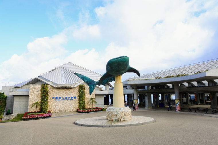 沖縄美ら海水族館はこう回る 子連れも安心徹底ナビ 楽天トラベル