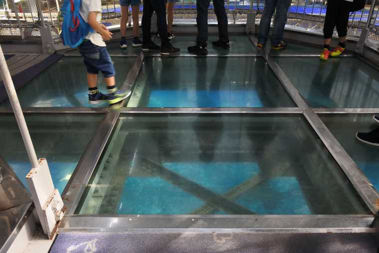沖縄美ら海水族館 黒潮の海