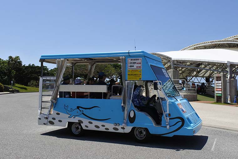 沖縄美ら海水族館 遊覧車
