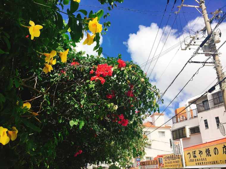 国際通り商店街 壺屋やちむん通り