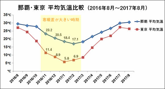 夏だけじゃない11月からでも楽しめる沖縄旅行の過ごし方 楽天トラベル