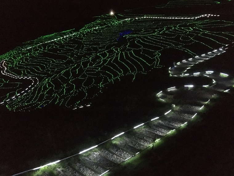奥能登絶景海道 白米千枚田イルミネーション
