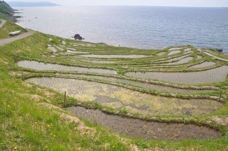 奥能登絶景海道 白米千枚田