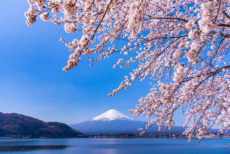 河口湖