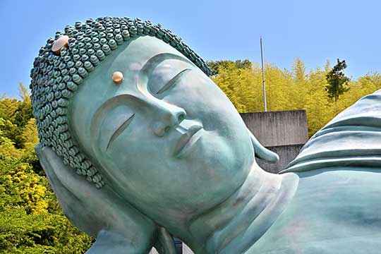 南蔵院