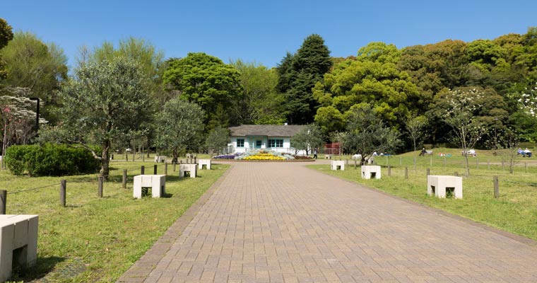 代々木公園