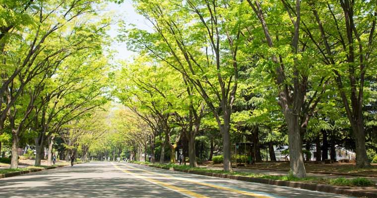 駒沢オリンピック公園
