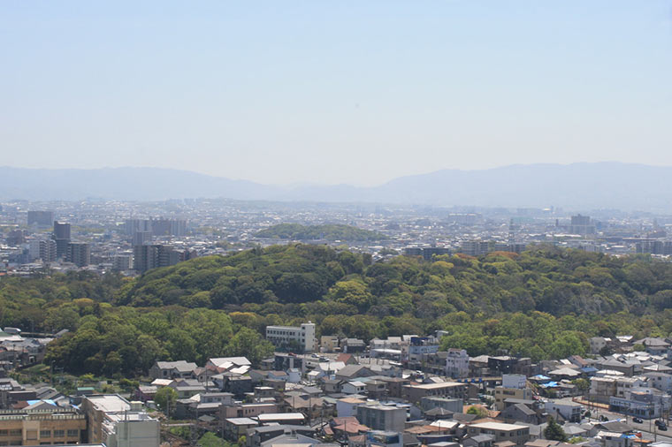 堺市役所の展望ロビー 景色