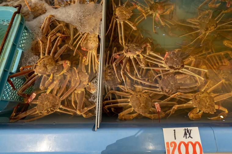 大漁市場なかうら
