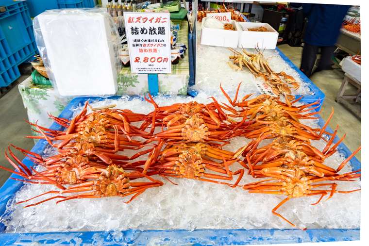 紅ズワイガニ水揚げ日本一 鳥取 境港食べ尽くし 楽天トラベル