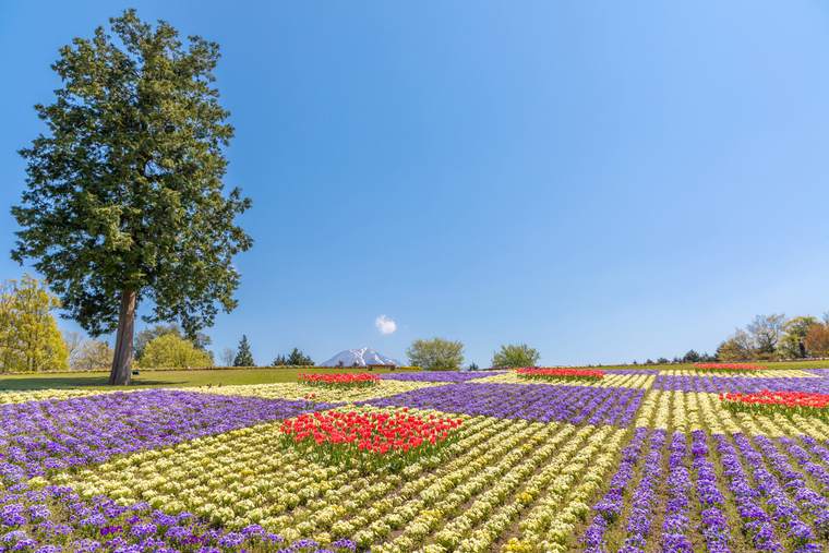 とっとり花回廊