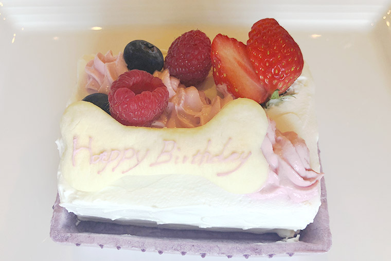 cake