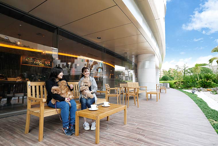 cafe