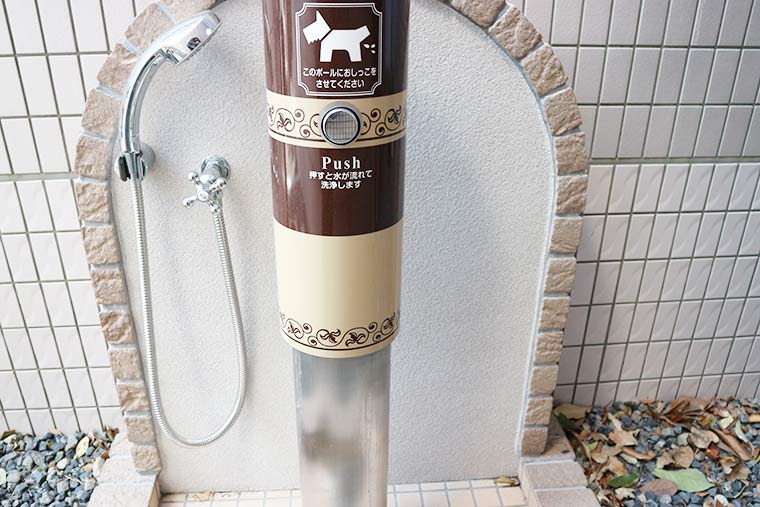 dogtoilet