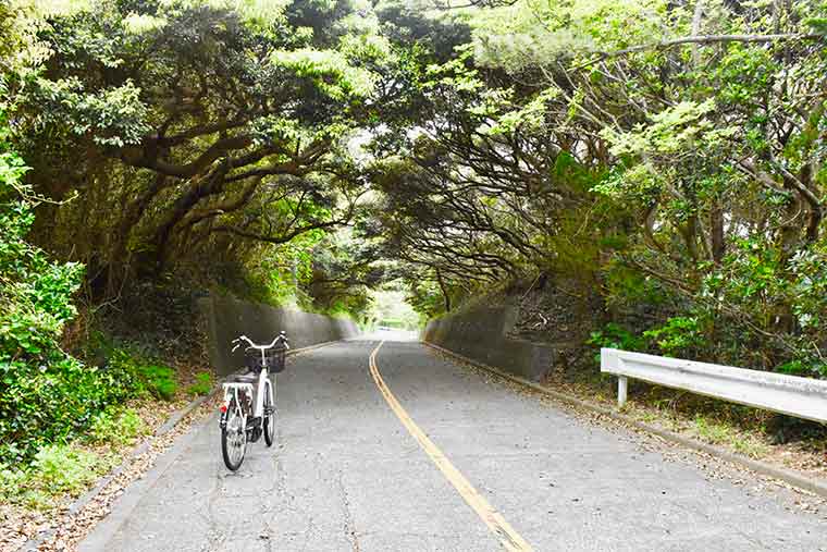 式根島 神引展望台