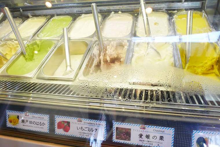 ショーケースのジェラート