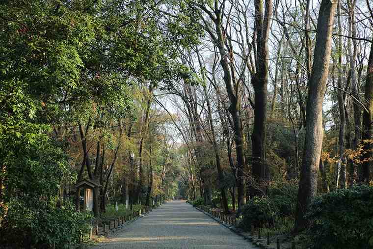 縁結びのご利益を授かる下鴨神社めぐりと参拝方法 楽天トラベル