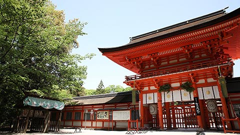 京都女性一人旅におすすめの観光スポット カフェ ごはん屋さん 楽天トラベル