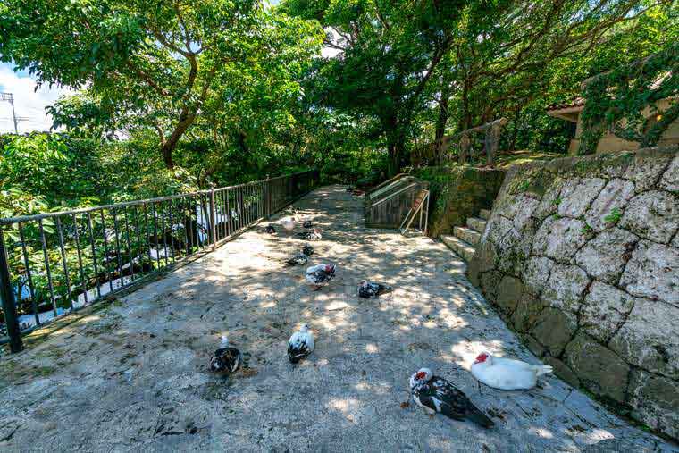 首里城公園 龍潭
