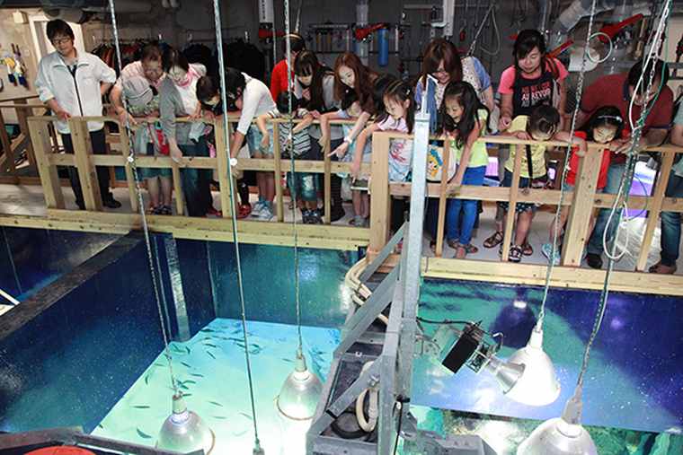 サンシャイン水族館 イベント「探検ガイドツアー」「エサやり体験」