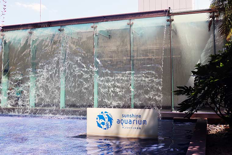 サンシャイン水族館 年間パスポート
