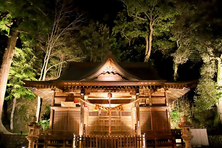 日枝神社 ライトアップ