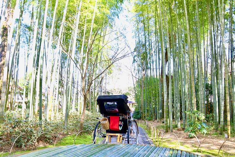 竹林の小径