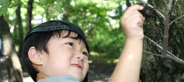 親子でイワナつかみ取り&カブトムシ採集