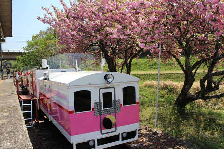 あまてらす鉄道 スーパーカート