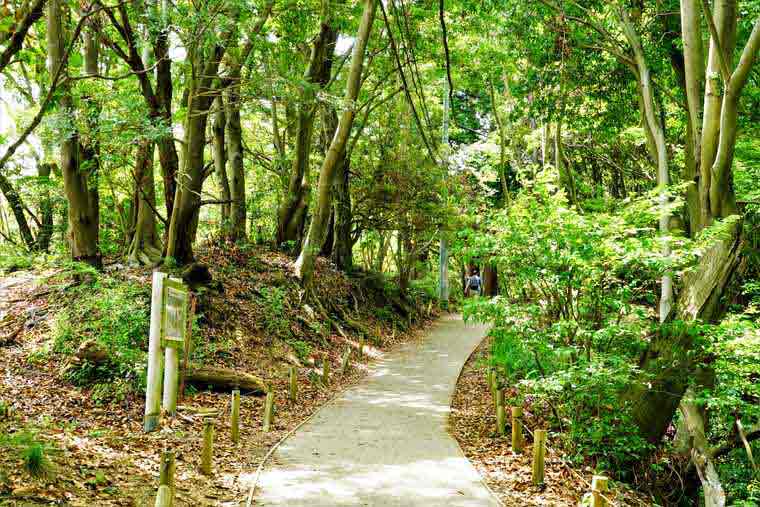 高尾山 山頂