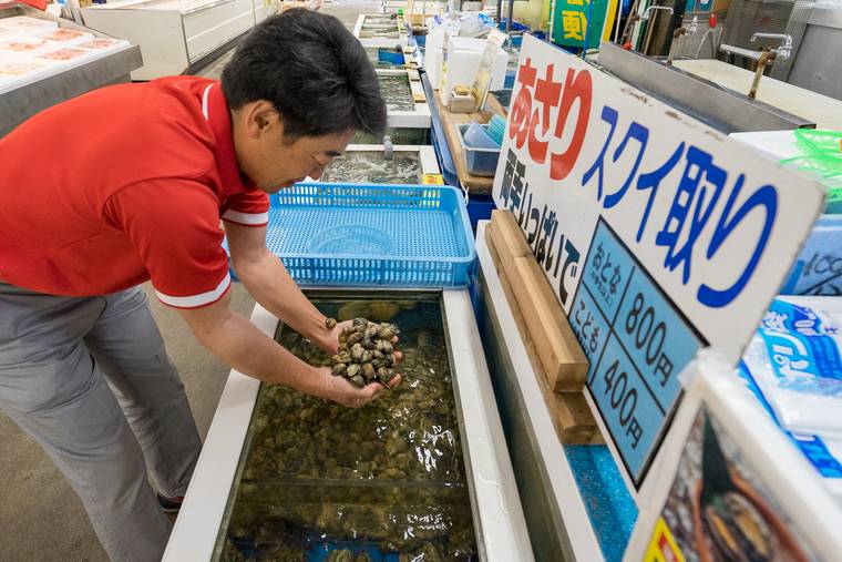 蒲郡海鮮市場 あさりのスクイ取り
