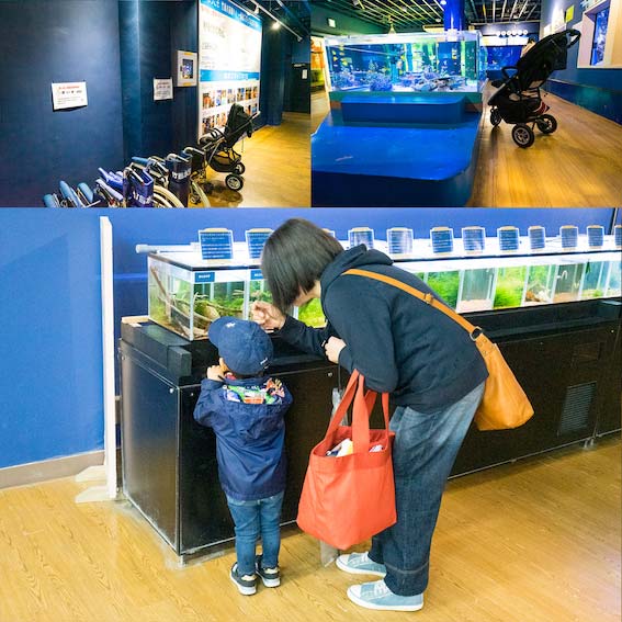 竹島水族館 子どもにも優しい館内設計