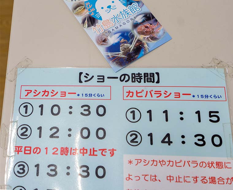 竹島水族館 アシカショー、カピバラショー