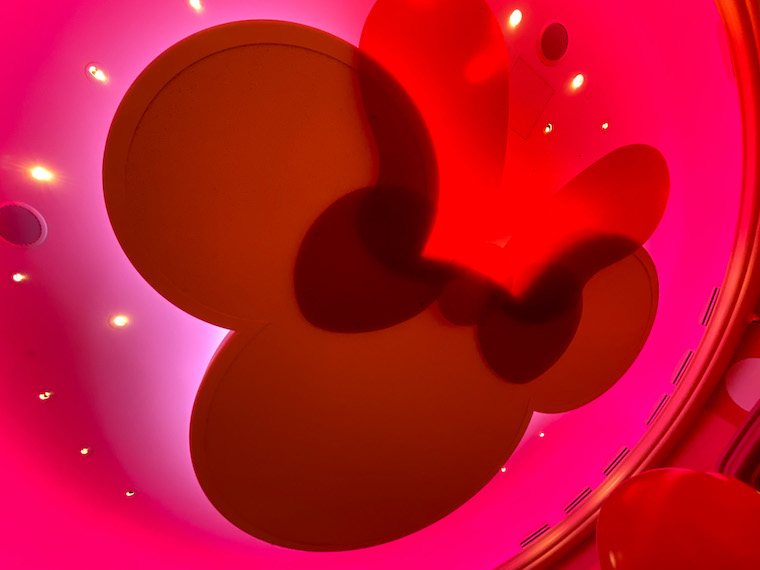 TDL 東京ディズニーランド 新エリア
