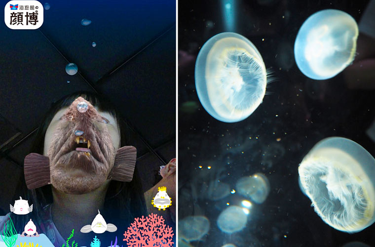 「顔カメラ」で人面魚になって写真が撮れる