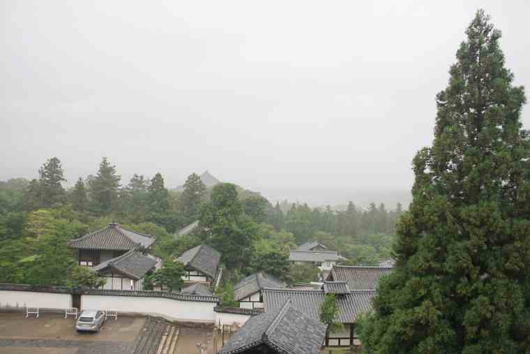 東大寺 二月堂 良弁杉