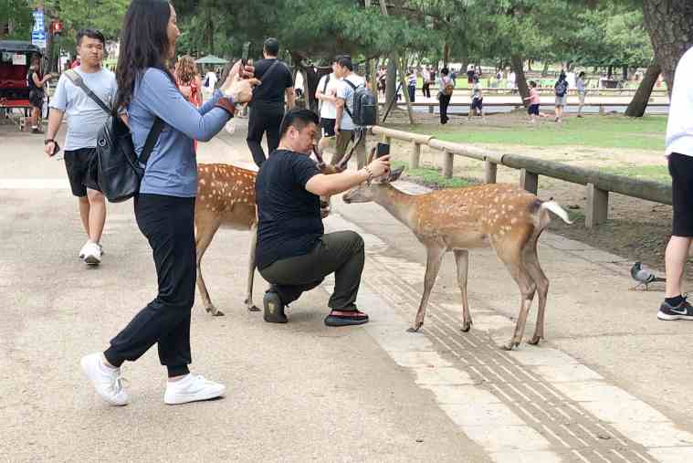 奈良 東大寺の大仏様にこんにちは 親子で歴史を知るめぐり方 楽天トラベル