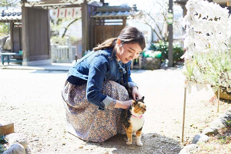地元の猫