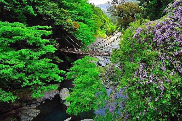 かずら橋
