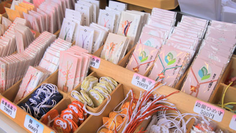 「東京大神宮」と「赤城神社」へ参拝!神楽坂周辺を和やか散歩!