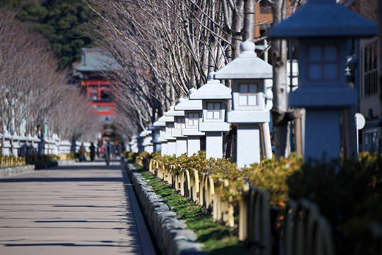 鶴岡八幡宮 若宮大路