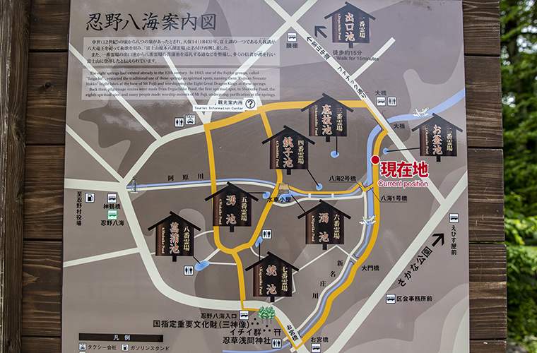 山中湖 忍野八海