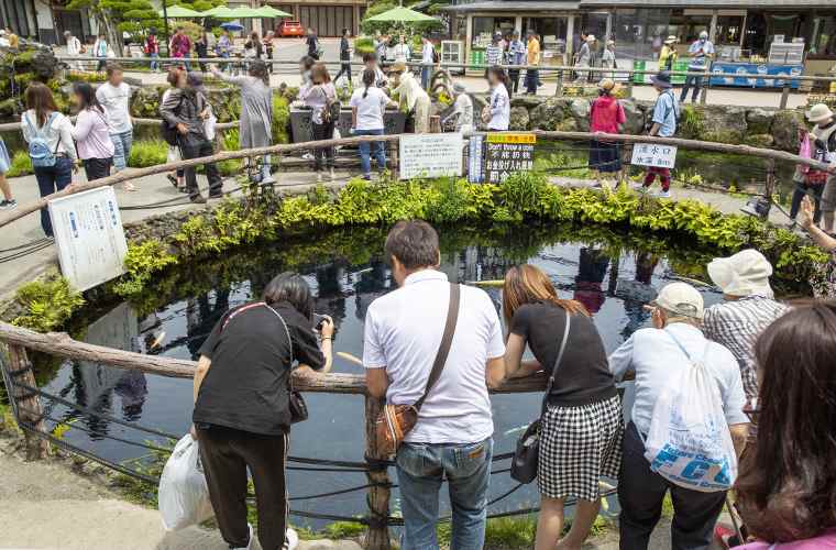 忍野八海 湧水口 忍野八海池本