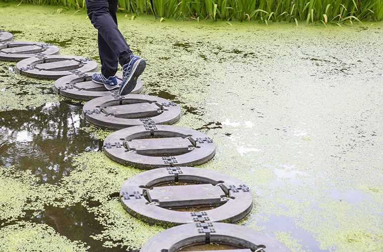 忍野しのびの里 池の道